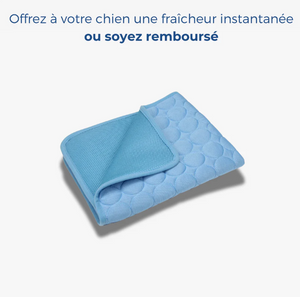 Tapis Rafraîchissant MOUSHI™
