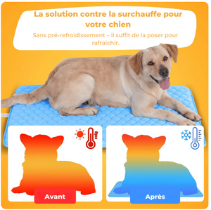 Tapis Rafraîchissant MOUSHI™