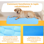 Tapis Rafraîchissant MOUSHI™